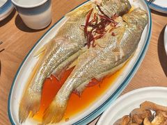 油泼黄花鱼-波螺油子·海肠捞饭·青岛菜(银座店)