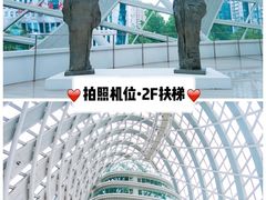-凤凰中心