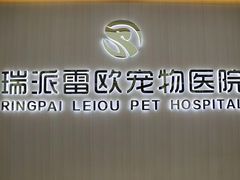 -瑞派雷欧宠物医院·24h夜诊·心脏骨科牙科·全科重症转诊中心(无影山店)