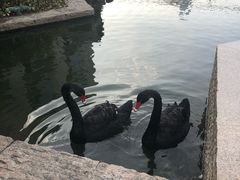 -行者书屋大堂吧 ·下午茶(南京圣和府邸酒店)