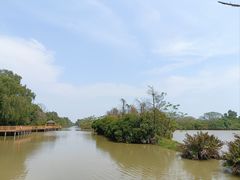 -大湾区中央湿地公园