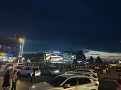 -人民防洪胜利纪念塔