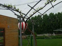 -白鹿原葡萄主题公园