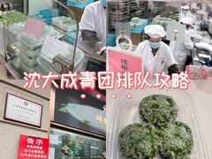 -沈大成(南京东路店)