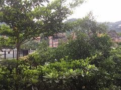 -深圳东部华侨城瀑布酒店
