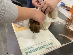 -伟伟宠物医院·CT影像中心·瑞派犬猫综合性门诊(汉口总院)
