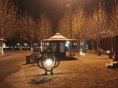 -九十九顶毡房(阜石路店)