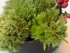 -悦融·京鲁菜·露台花园(安定门店)