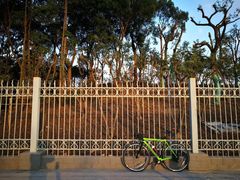 -上海魅力单车cannondale