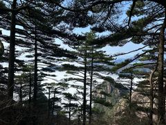 -黄山风景区