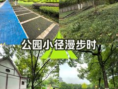 -重庆彩云湖湿地公园