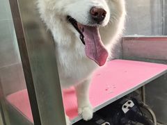 -宠福鑫康馨动物医院·骨科·眼科