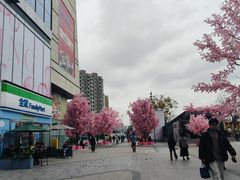 -首开·龙湖成都西宸天街