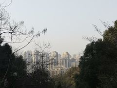 -桃花岭景区