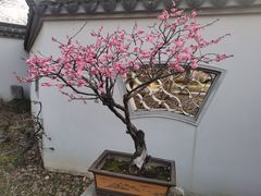 -无锡梅园公园