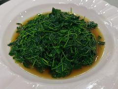 -孔庆璞河豚馆(白玉兰酒店)