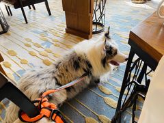 -上海崇明金茂凯悦酒店