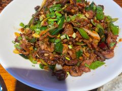 -柴窝堡22号辣子鸡·传承新疆菜