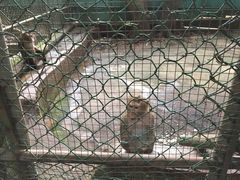 -三水森林公园