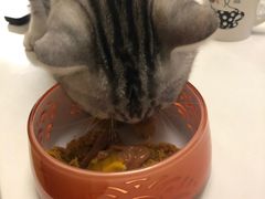 -1013 PET SHOP 宠物商店(近铁城市广场店)