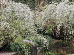 -中国茶叶博物馆(双峰馆区)