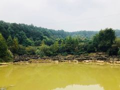 -铁山坪森林公园