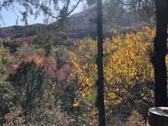 -阳台山自然风景区