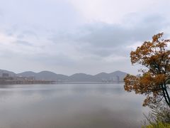 -团城山公园