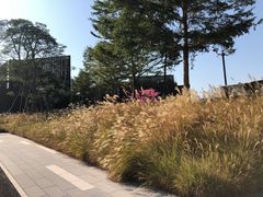 -星巴克(深圳前海企业公馆店)