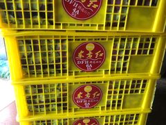 -东方鼎信农副产品交易中心