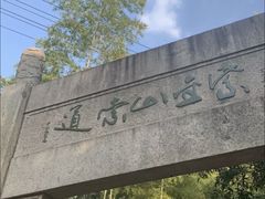 -紫金山山顶公园