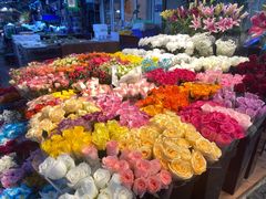 -曲阳花鸟市场(曲阳路店)
