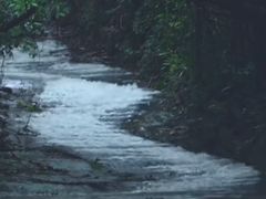 -燕晗山郊野公园