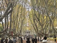 -东南大学(四牌楼校区)