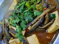 -全乐鱼馆·淳牌有机鱼直营店
