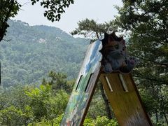 -沂蒙山旅游区云蒙景区(蒙山国家森林公园)