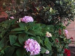 -熊猫屋(宽窄巷子景区店)