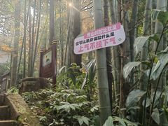 -青岩寺风景区