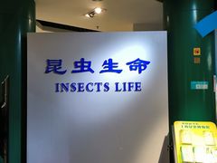 -上海昆虫博物馆