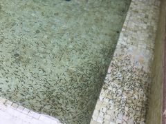 -春晖园度假酒店温泉