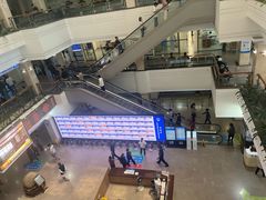 -上海市东方医院(总院)