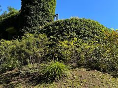 -三鹰之森吉卜力美术馆