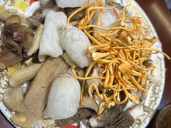 -菌之家·专业纯野生菌火锅·特色炒菌