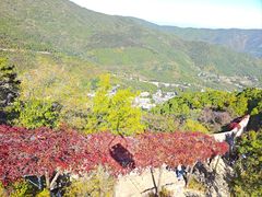 -香山公园
