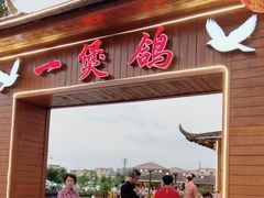 -一煲鸽