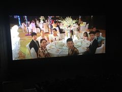 -幸福蓝海国际影城(芜湖IMAX店)