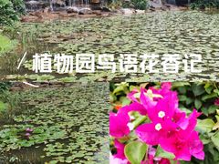 -东莞植物园
