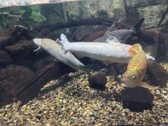 -萌宠奇缘(荣鼎店)