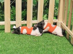 -大族广场Mall&More