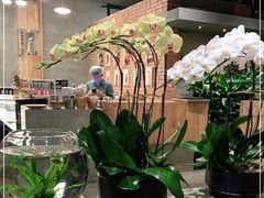 -园里火锅(仁和新城店)